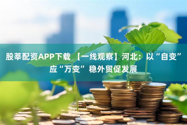 股莘配资APP下载 【一线观察】河北：以“自变”应“万变” 稳外贸促发展