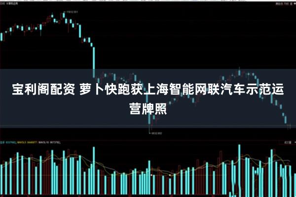 宝利阁配资 萝卜快跑获上海智能网联汽车示范运营牌照