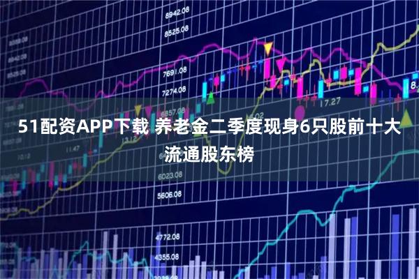 51配资APP下载 养老金二季度现身6只股前十大流通股东榜