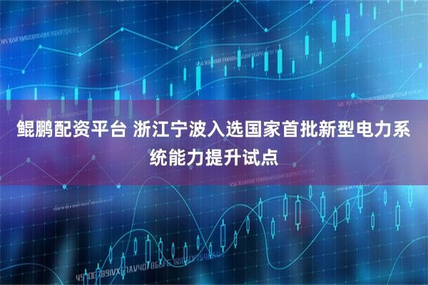 鲲鹏配资平台 浙江宁波入选国家首批新型电力系统能力提升试点