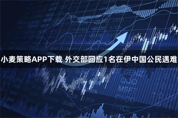 小麦策略APP下载 外交部回应1名在伊中国公民遇难